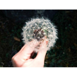 Sleek Paper Shirt pt-PT